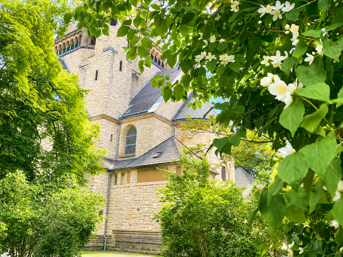 Clevere Kapitalanlage: Charmante 1-Zimmer-Wohnung in der Nähe historischer Kirche – Chemnitz(Lutherviertel) – Vorschaubild 43