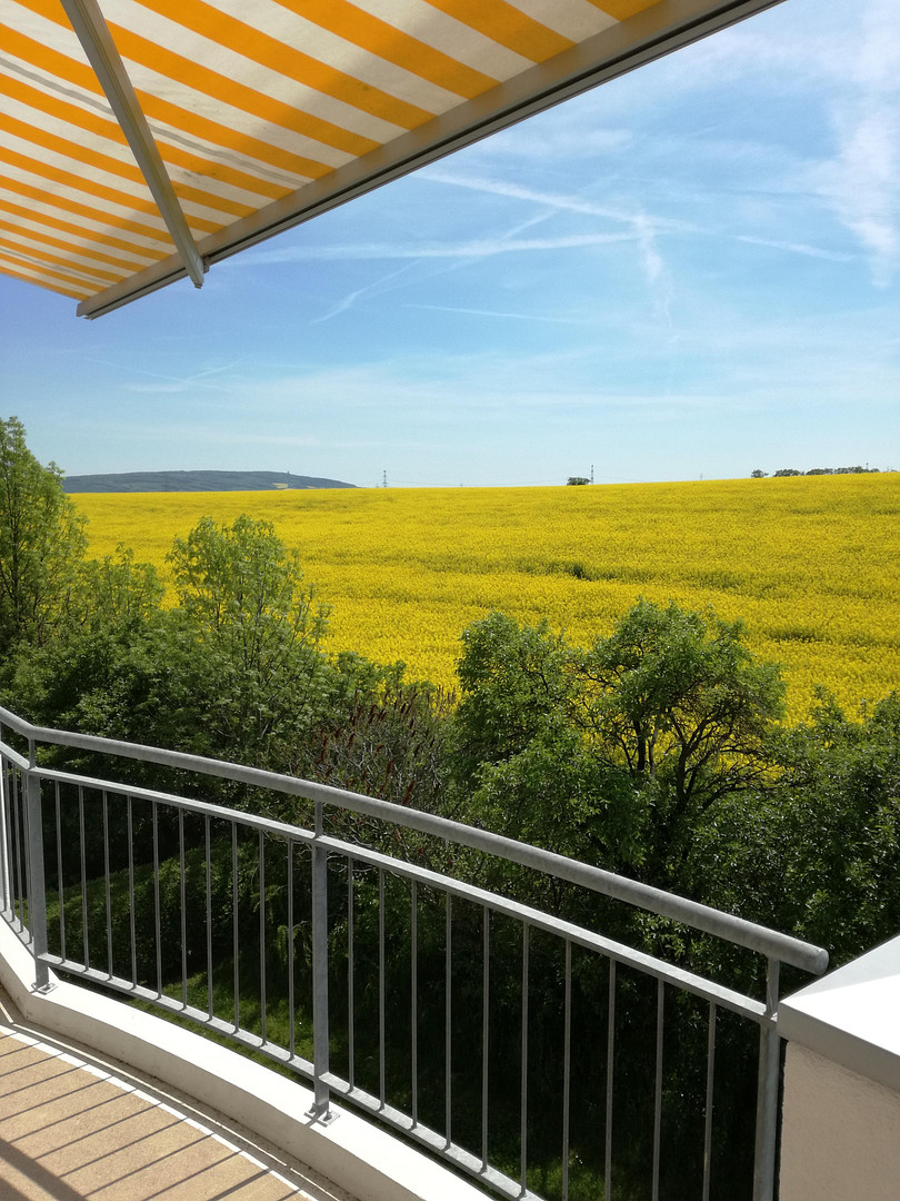 ERFURT MFH BAUJAHR 1995 ENERGIEKLASSE  C  Südlicher Panoramablick – ERFURT(Töttleben) – Vorschaubild 2