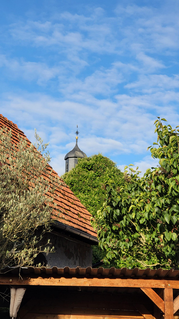 Historische Hofreite, wohnen der besonderen Art. Verkauf Provisionsfrei. – Rodenbach(Niederrodenbach) – Vorschaubild 10