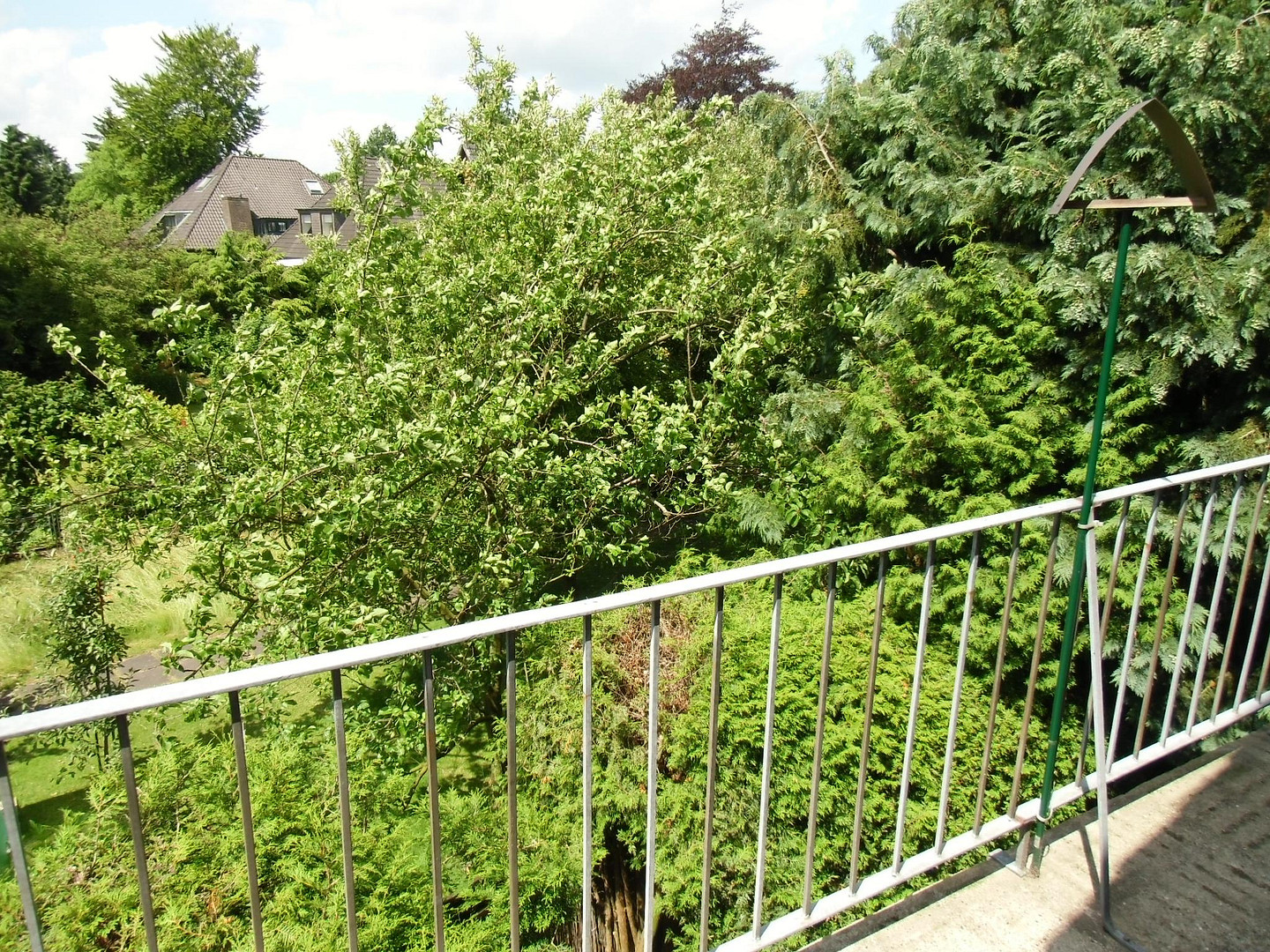 Einfamilienhaus im Grünen  ruhige Wohnstraße 30 km/h, S-Bahn S5 Schnelsen-Süd , Ohne Makler – Franzosenheide, 22457 Hamburg-Schnelsen(Schnelsen) – Vorschaubild 16