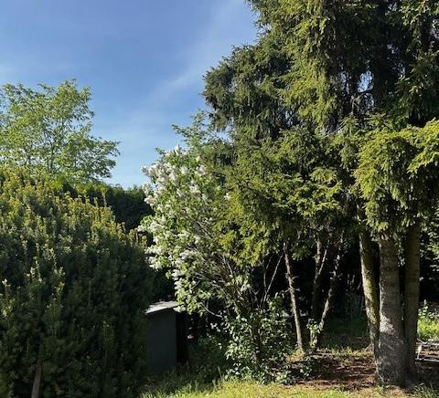 Haus im Bungalowstil mit Pool, Nebengelass und großem Grundstück mit Potential für ein 2 Haus – Berlin(Altglienicke) – Vorschaubild 21