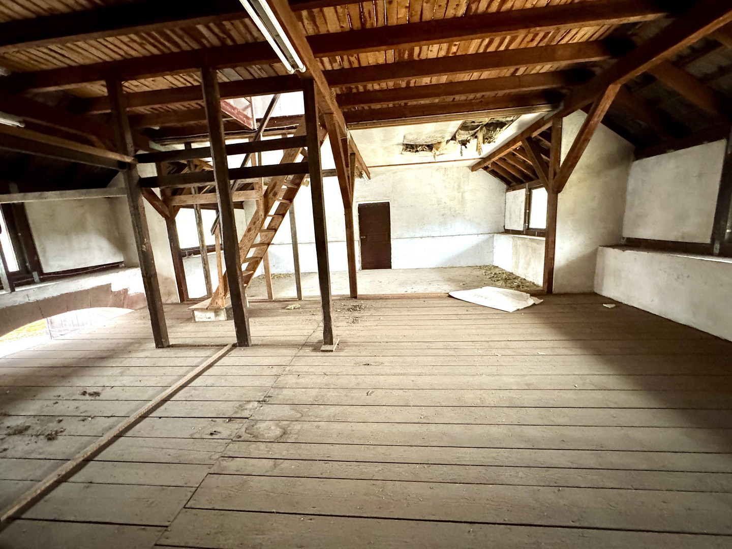 charmates Einfamilienhaus nebst Garage und Lagergebäude + Option auf Bauplatz – Bannholz 2, 74834 Elztal(Rittersbach) – Vorschaubild 22