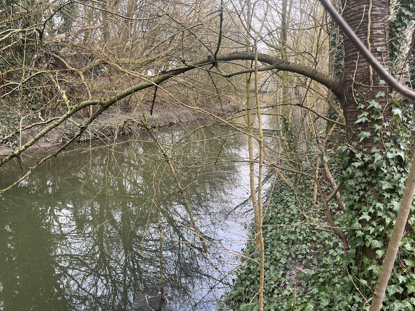 Schöne, geräumige 75m² Wohnung in MS- Wolbeck 2 Zi mit direktem Zugang zum Fluss "Angel" – 48167 Münster(Wolbeck) – Vorschaubild 2