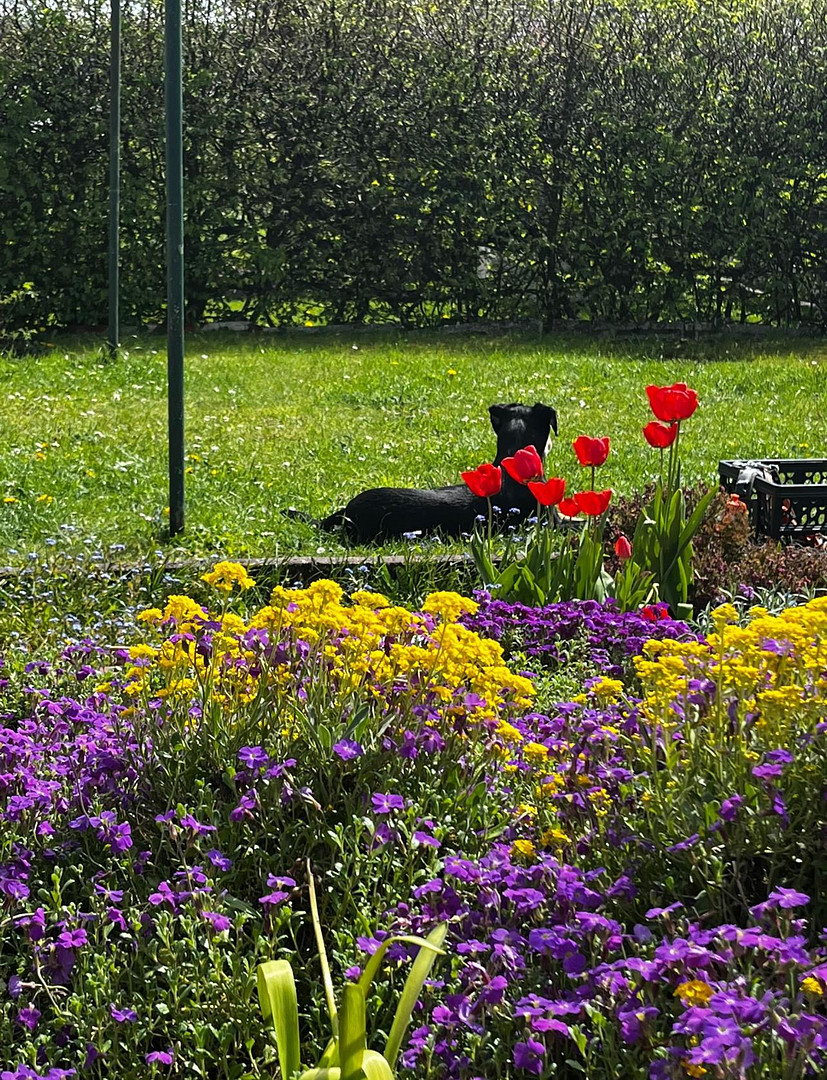 4-Zimmer-Wohnung mit EBK und Garten zu vermieten! Haustiere erlaubt! – Strucker Straße 62, 42859 Remscheid – Vorschaubild 10