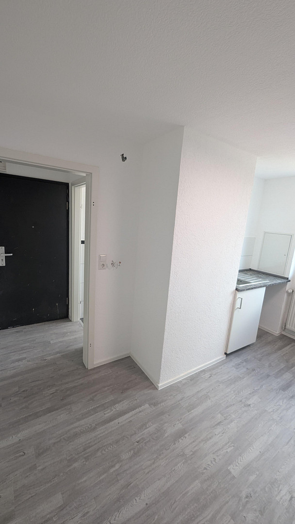 Top geschnittene, frisch Sanierte 53 m² 2ZKb in Mannheim – Einbauküche, Neubau, Energieeffizienz: A – Mannheim – Vorschaubild 4