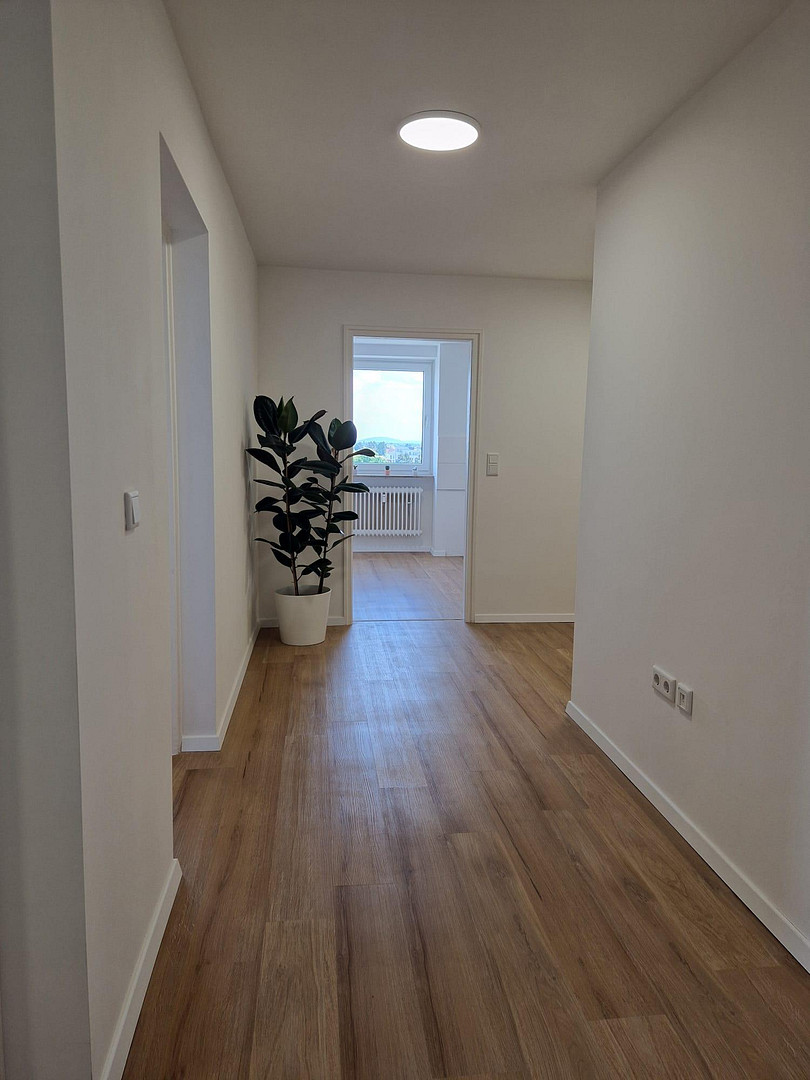 PROVISIONSFREI | Frisch renovierte 2-Zimmer-Wohnung | FREI – Fürth – Vorschaubild 5