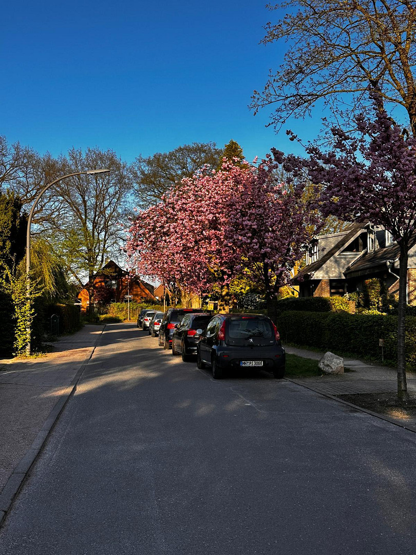 PLZ 22399 Großes Einfamilienhaus in Top Lage in Hamburg Poppenbüttel – Achter Billing 31, 22399 Hamburg Poppenbüttel(Poppenbüttel) – Vorschaubild 3