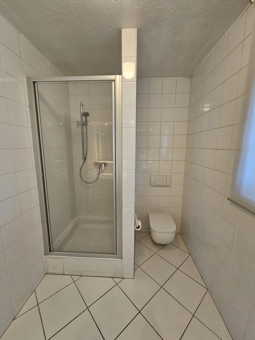 Architektonisch reizvolle Villa in Best-Lage am Mulang maklerfrei – Kassel – Vorschaubild 25