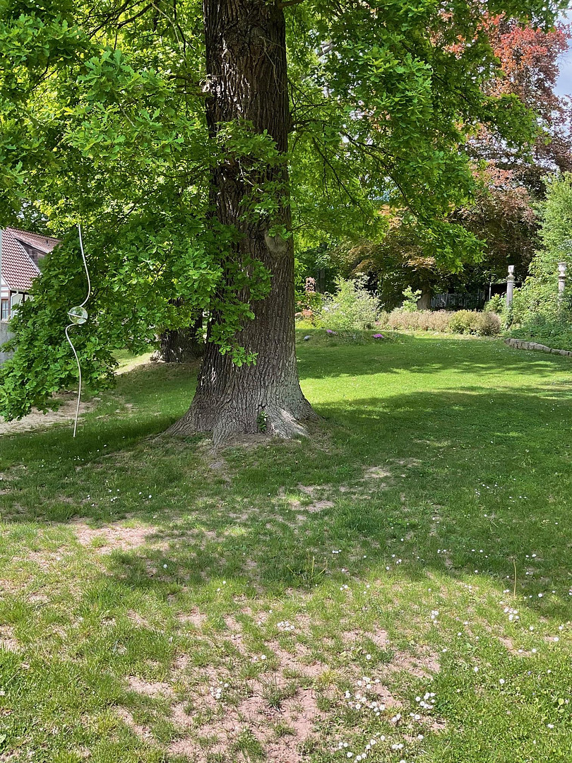 Vielseitig nutzbares Anwesen mit großem Potenzial auf parkähnlichem Grundstück (provisionsfrei!) – Bad Karlshafen – Vorschaubild 32