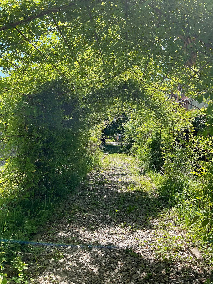 Vielseitig nutzbares Anwesen mit großem Potenzial auf parkähnlichem Grundstück (provisionsfrei!) – Bad Karlshafen – Vorschaubild 33