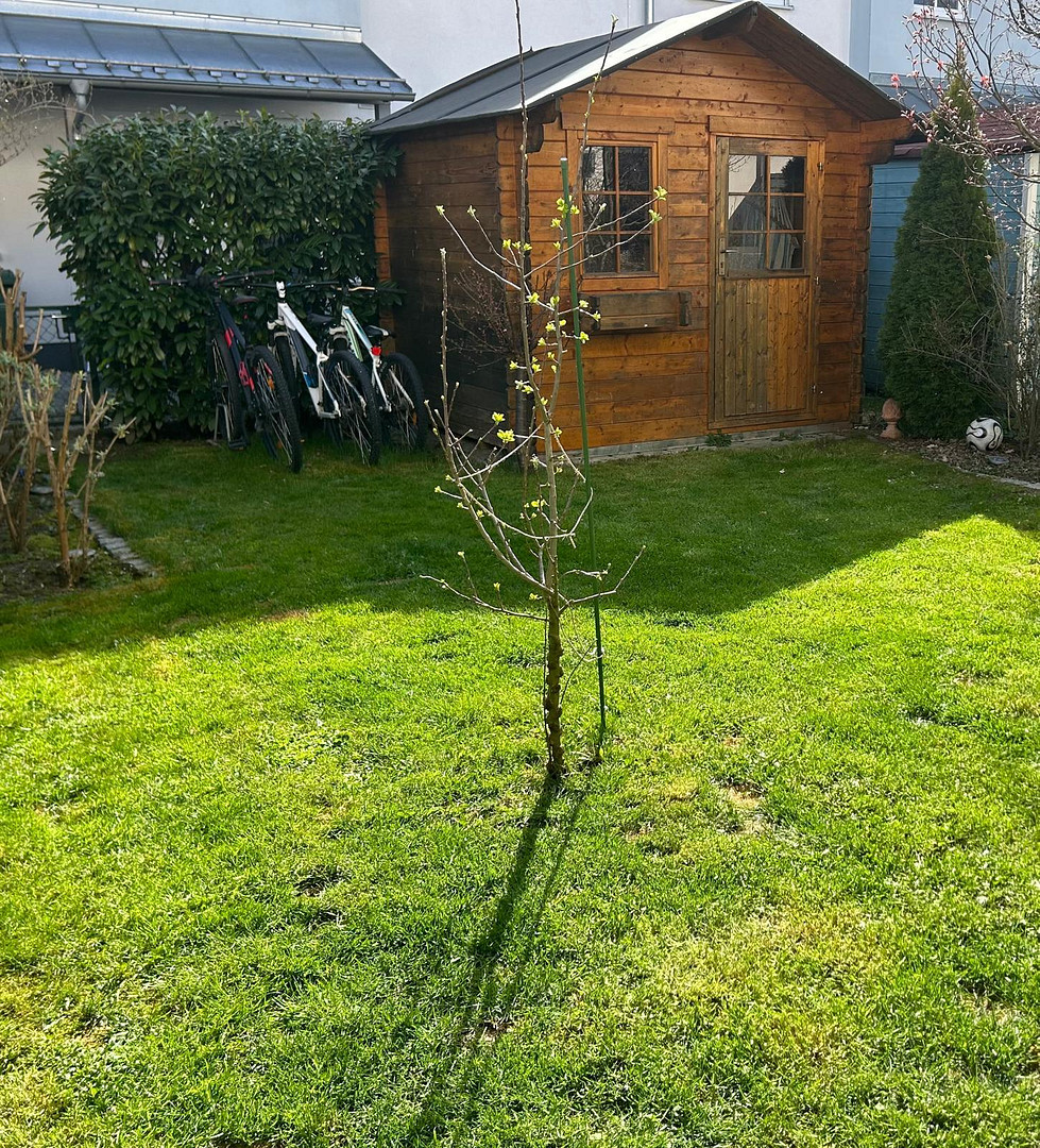Haus im Haus – 82538 Geretsried – Vorschaubild 6