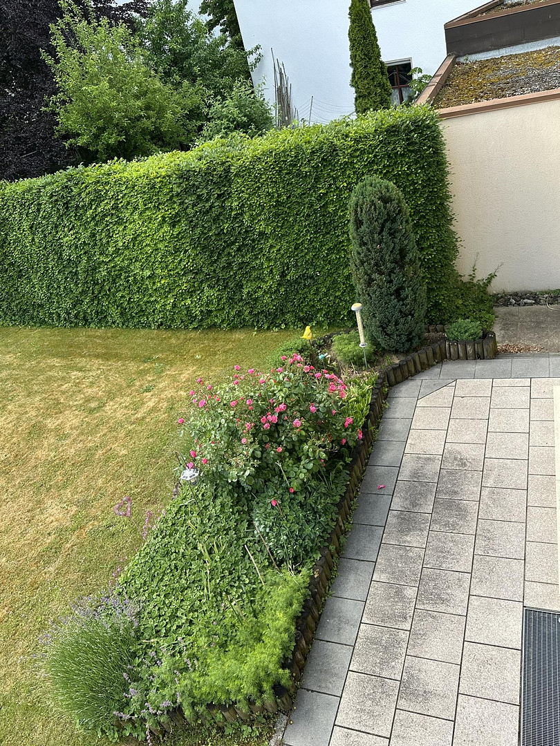 Großes Einfamilienhaus in ruhiger Top-Lage in Lechhausen – Augsburg(Lechhausen) – Vorschaubild 19