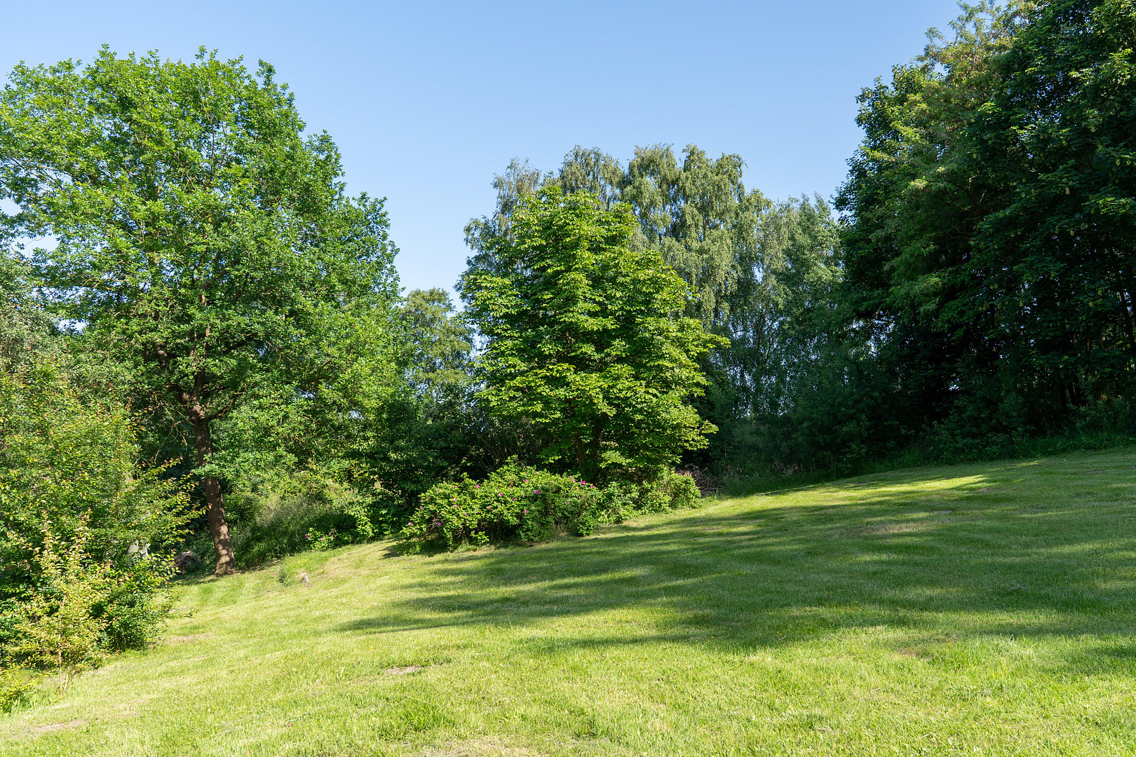 Landhaus unter Reet, teilsaniert, am See, inkl. Gästewohnung, Stallungen, Weiden und Wald. – Witzin – Vorschaubild 4