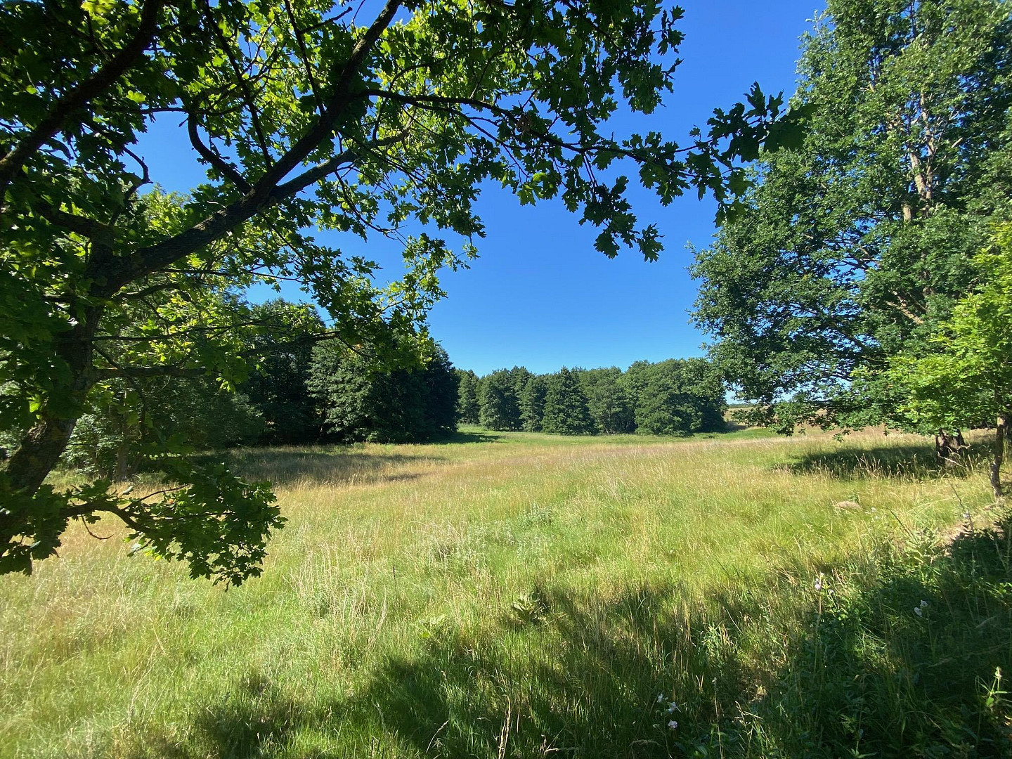 Landhaus unter Reet, teilsaniert, am See, inkl. Gästewohnung, Stallungen, Weiden und Wald. – Witzin – Vorschaubild 29