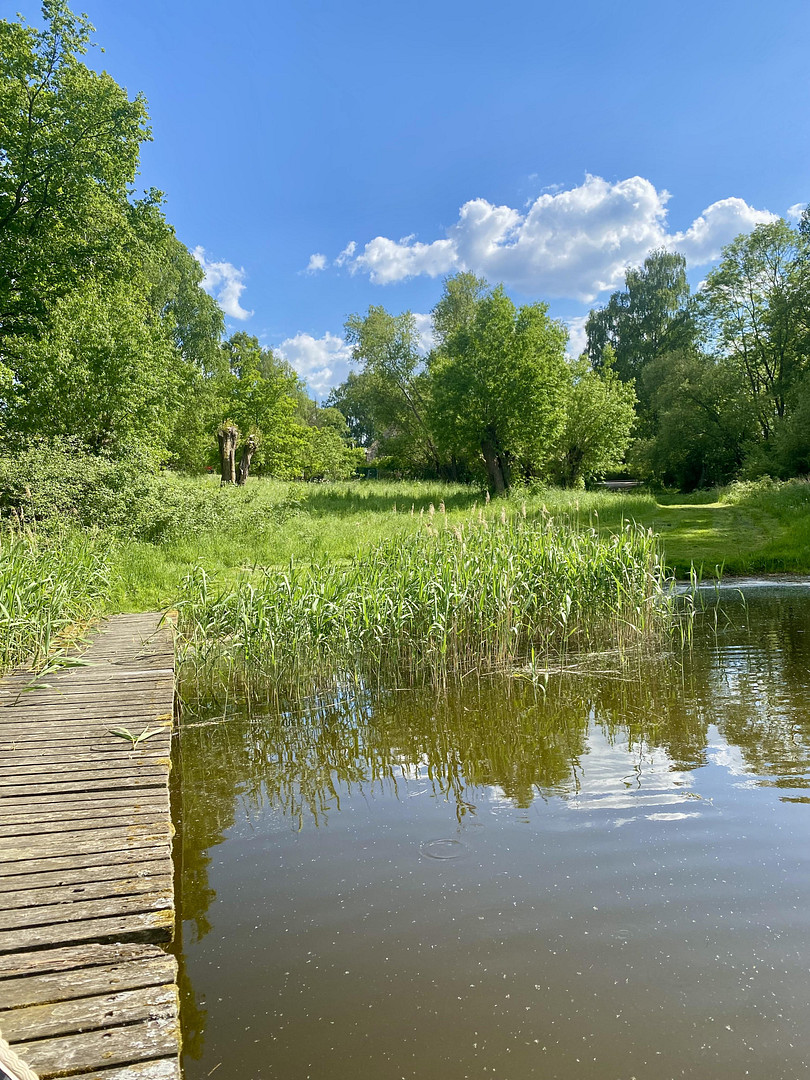 Landhaus unter Reet, teilsaniert, am See, inkl. Gästewohnung, Stallungen, Weiden und Wald. – Witzin – Vorschaubild 16