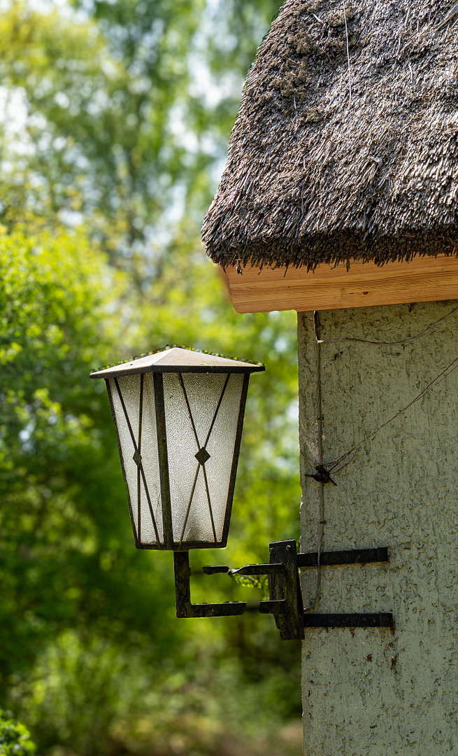 Landhaus unter Reet, teilsaniert, am See, inkl. Gästewohnung, Stallungen, Weiden und Wald. – Witzin – Vorschaubild 22