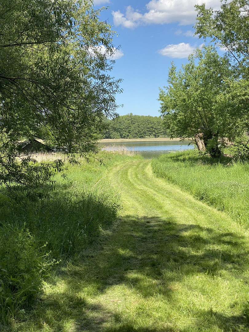 Landhaus unter Reet, teilsaniert, am See, inkl. Gästewohnung, Stallungen, Weiden und Wald. – Witzin – Vorschaubild 6