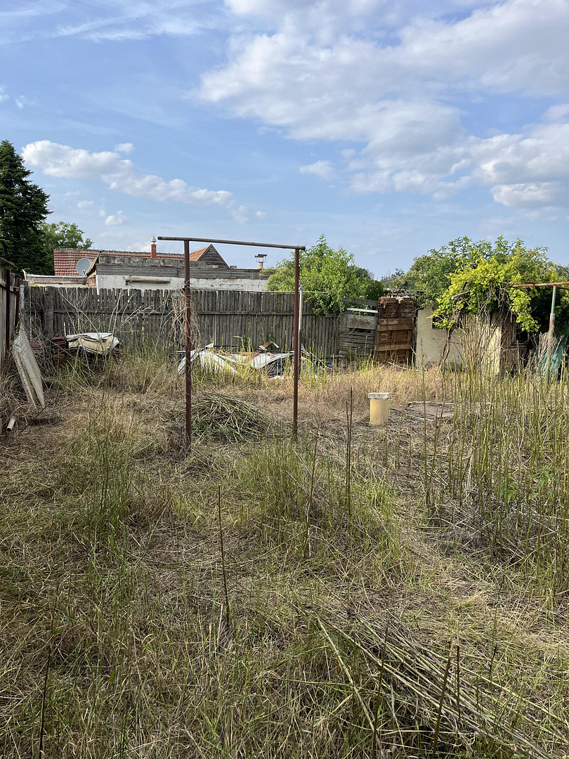 Hinterer Gartenteil