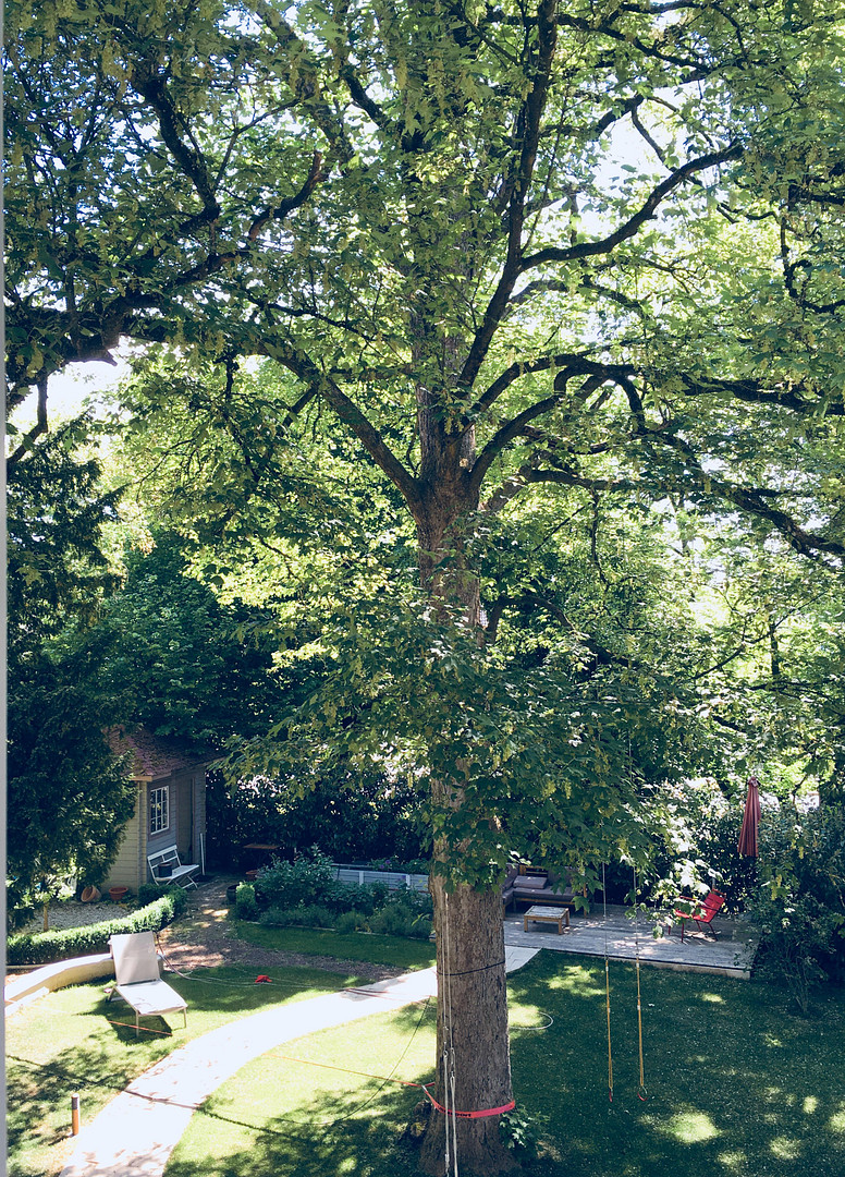 Große Altbau-Villa in Augsburg Göggingen - Exklusives Haus mit Garten – Richard-Wagner-Str. 16, 86199 Augsburg(Göggingen) – Vorschaubild 6