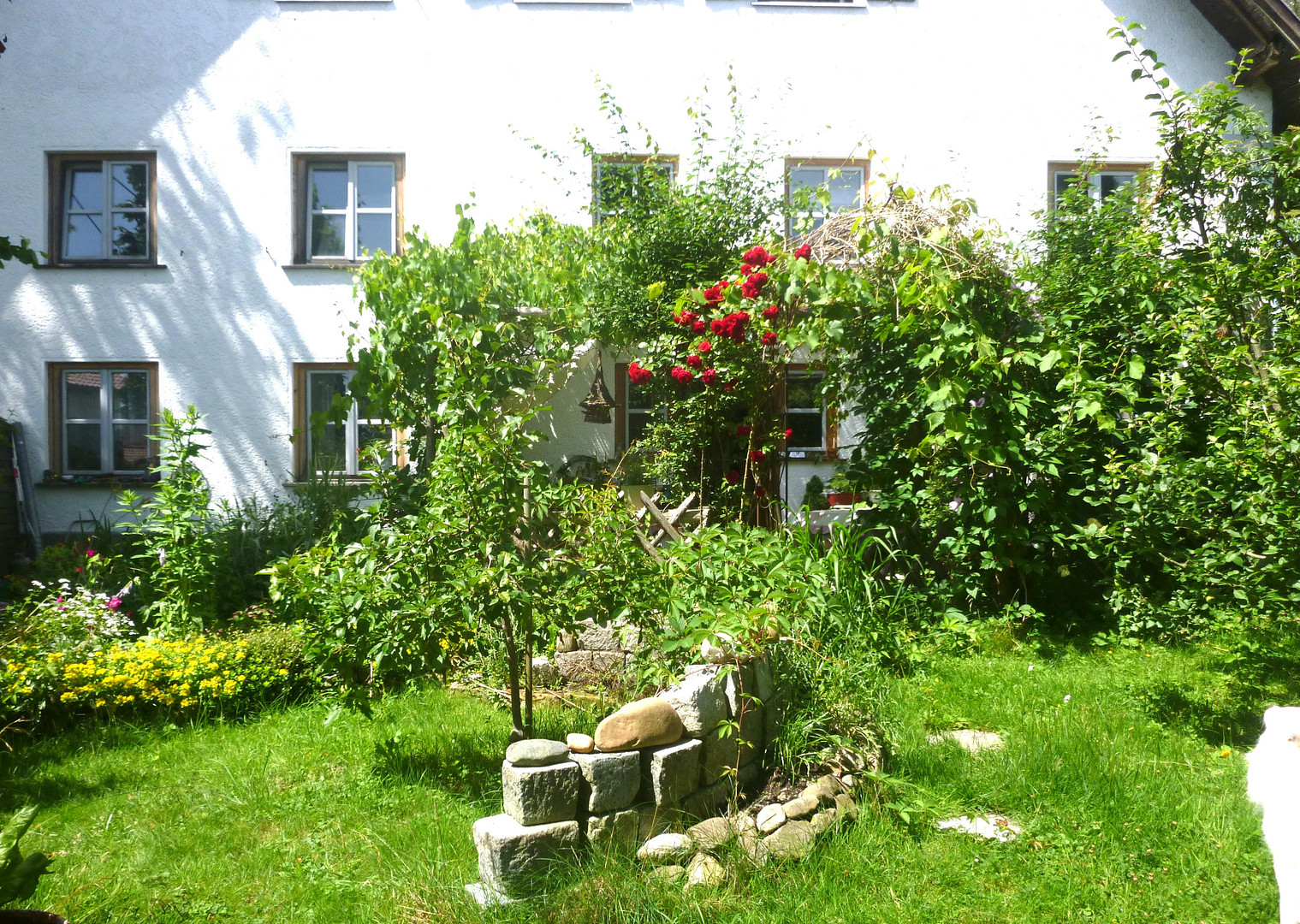 Schönes Bauernhaus mit 3 Wohneinheiten zu verkaufen – Memmingen(Dickenreishausen) – Vorschaubild 3
