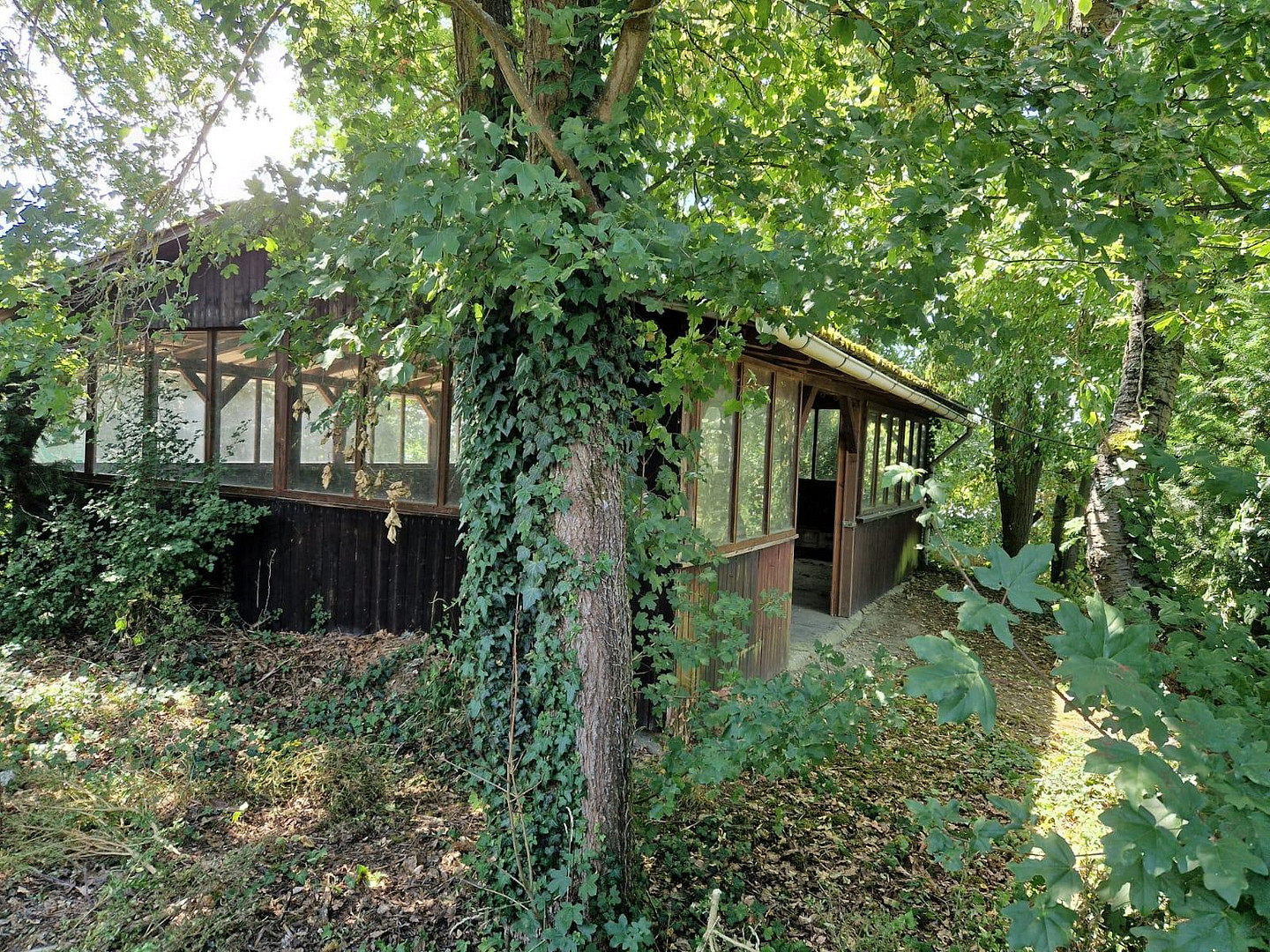 🏡 Idyllisches 1-2 Familienhaus mit großem Garten, Halle & Potenzial in Usingen Kransberg – Usingen Kransberg(Kransberg) – Vorschaubild 9