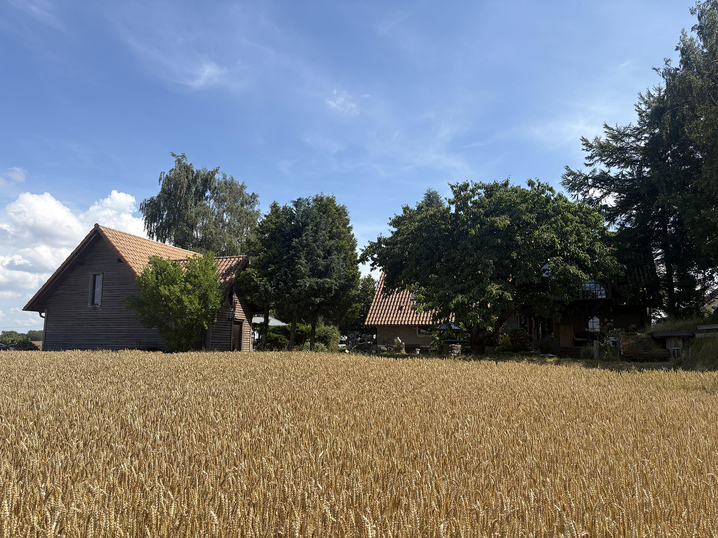 Property thumbnail 24