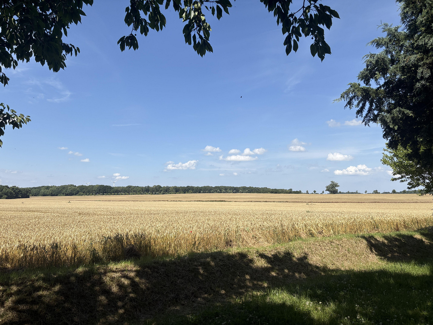 Property thumbnail 10
