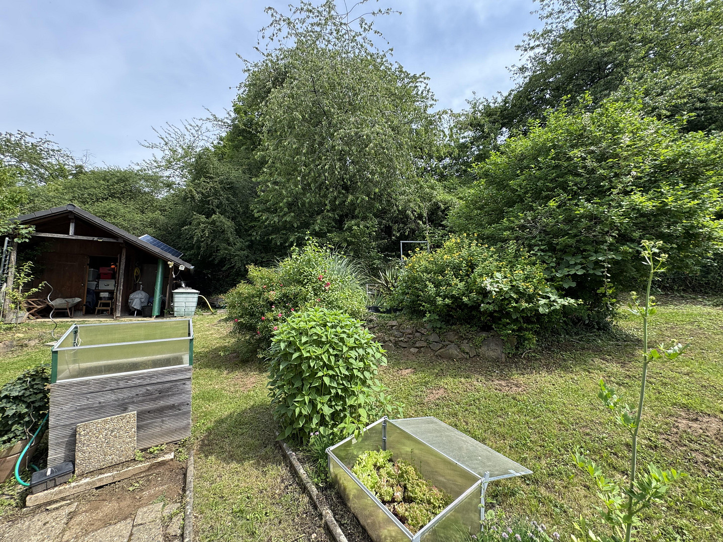 Property thumbnail 16