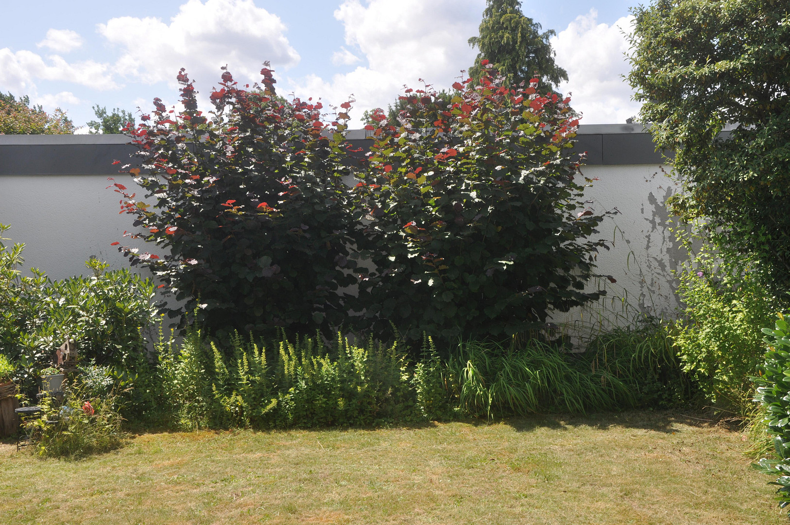 Property thumbnail 4
