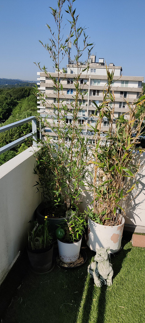 Lichtdurchflutete große Eigentumswohnung Wuppertal Elberfeld/Uellendahl mit Traum-Ausblick – Theodor-Heuss-Straße 50, 42109 Wuppertal(Uellendahl-Katernberg) – Vorschaubild 40