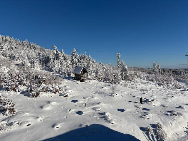 Einzigartiges Objekt in Allein-Lage am Nationalpark Harz – Rodelhaus 1, 38700 Braunlage – Vorschaubild 35