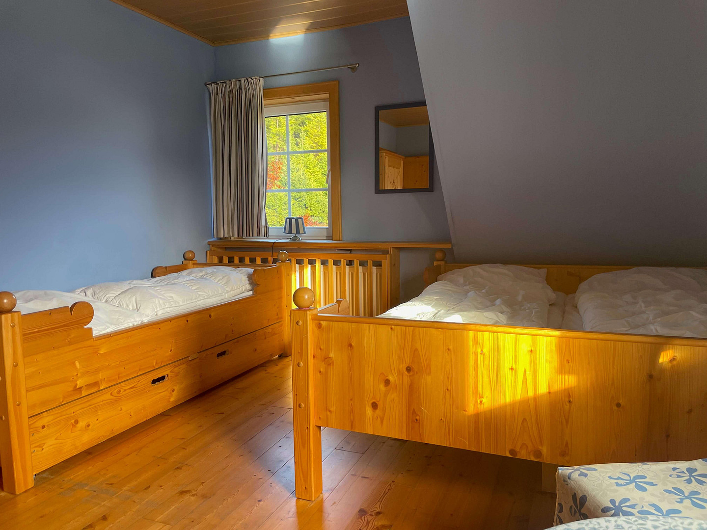 Einzigartiges Objekt in Allein-Lage am Nationalpark Harz – Rodelhaus 1, 38700 Braunlage – Vorschaubild 5