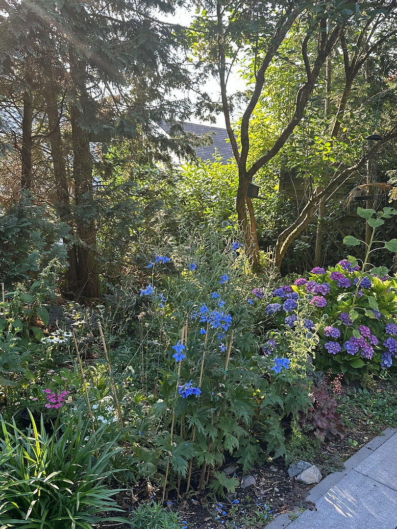 Attraktive Maisonettewohnung - Wohngenuss mit Dachloggia und Garten – Koblenz – Vorschaubild 32