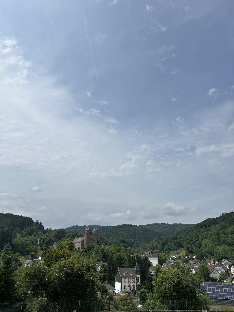 Freistehende Villa mit Sandsteinsäulen - Aussichtsturm und Parkähnlicher Anlage – Mürlenbach – Vorschaubild 20