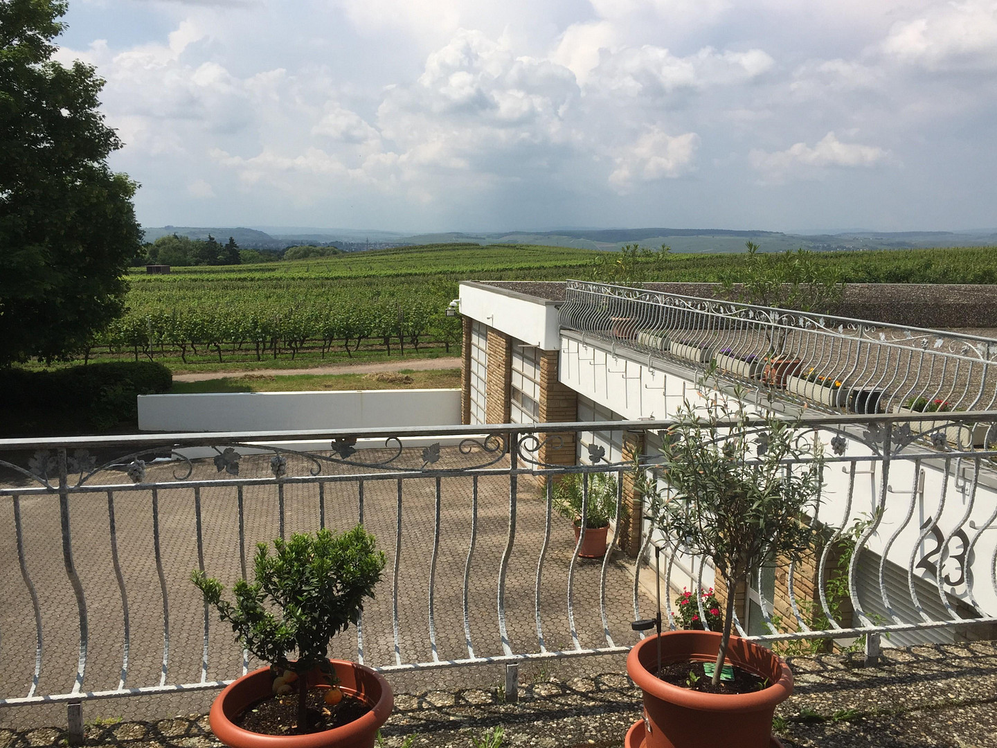 Anwesen mit Toskana Feeling – Horrweiler – Vorschaubild 4