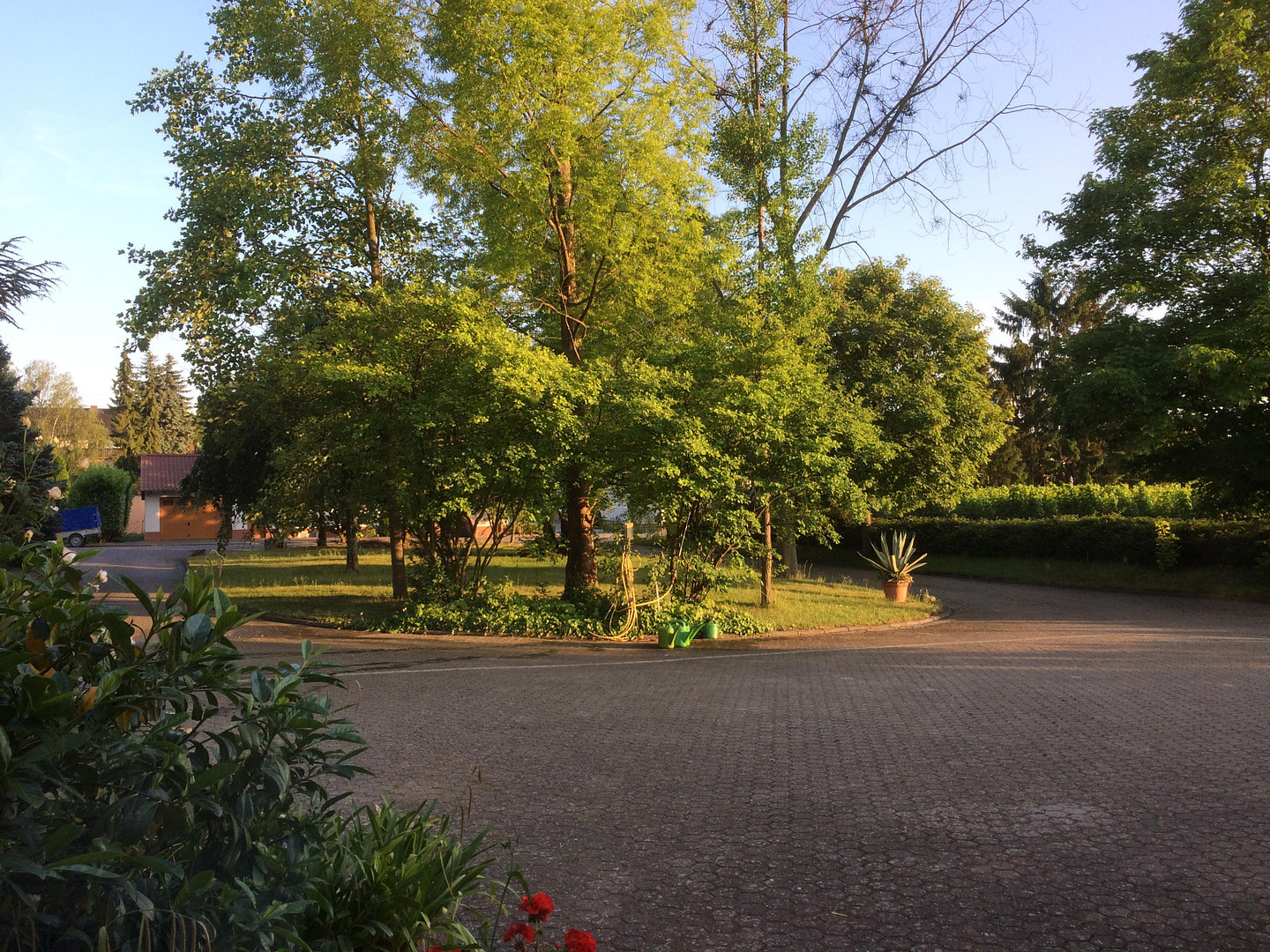 Anwesen mit Toskana Feeling – Horrweiler – Vorschaubild 5
