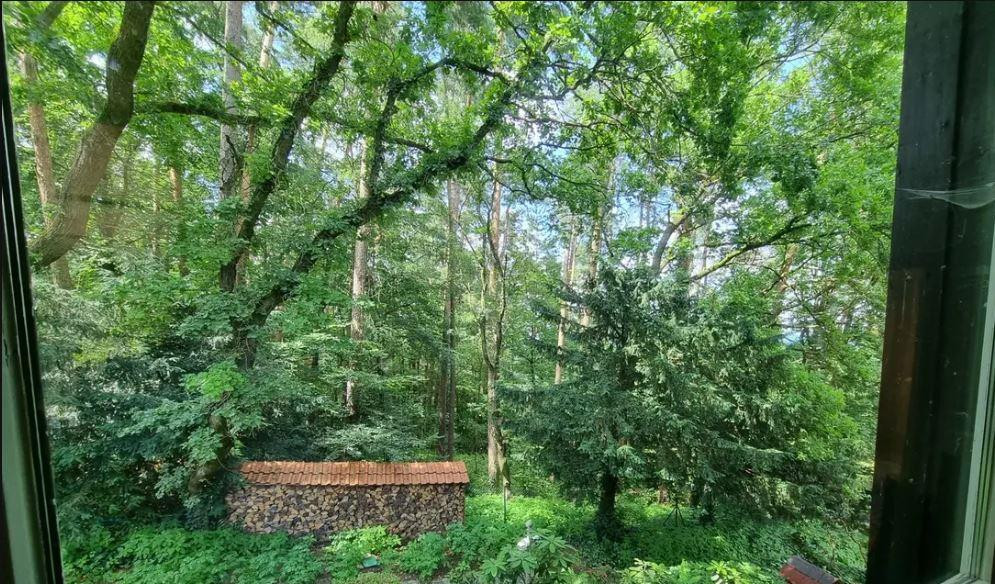 Großzügige Villa am Waldrand mit angrenzendem Bauland – Röthenbach an der Pegnitz(Haimendorf) – Vorschaubild 11