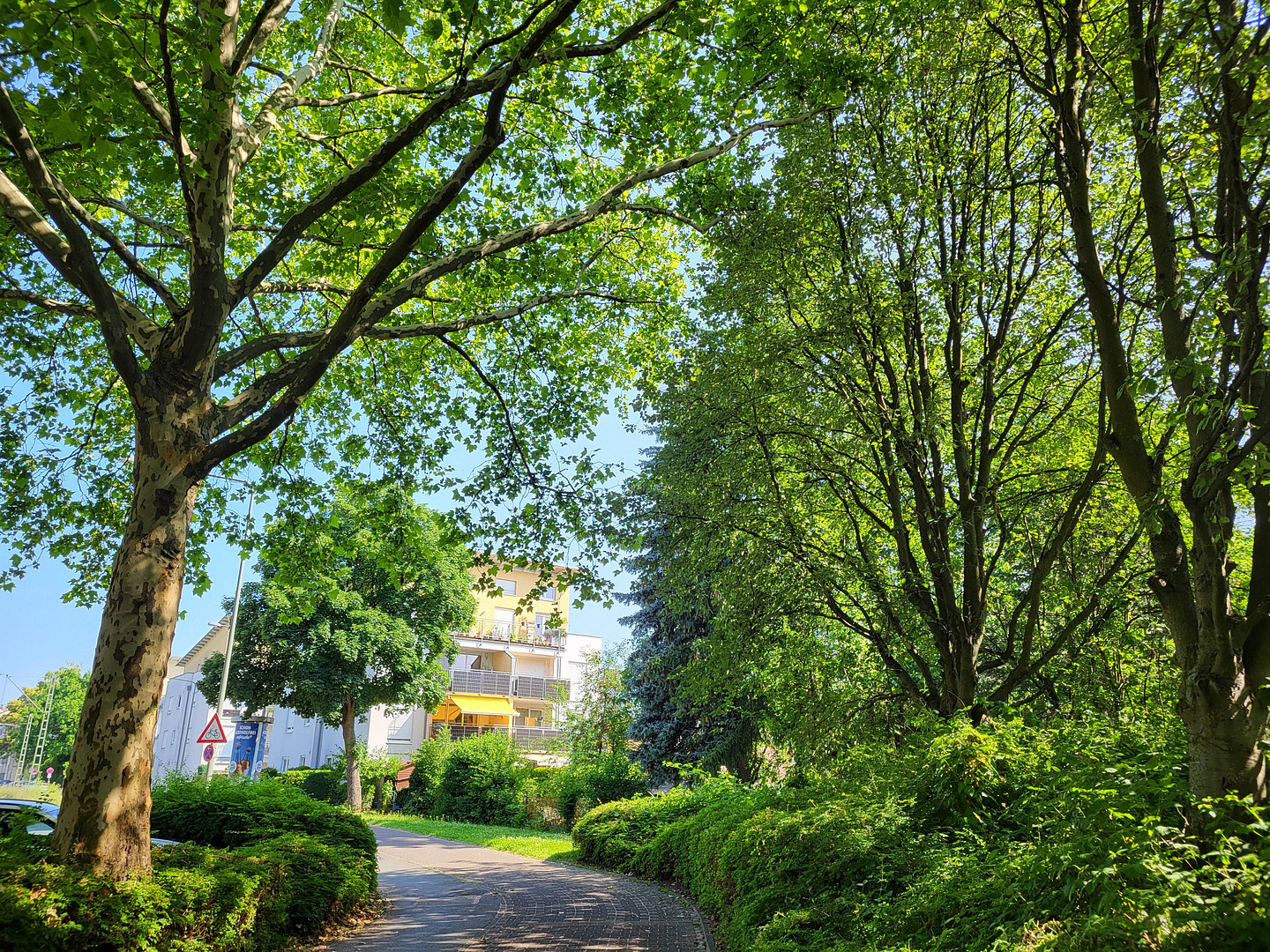 Property thumbnail 2