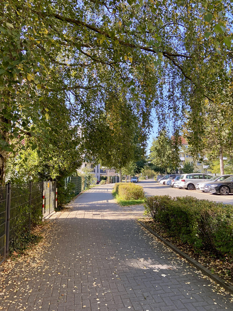 Einfamilienhaus mit großer Terrasse – bezugsfertig + guter Anbindung nach Berlin - S-Bahn fußläufig – Bernau bei Berlin – Vorschaubild 38