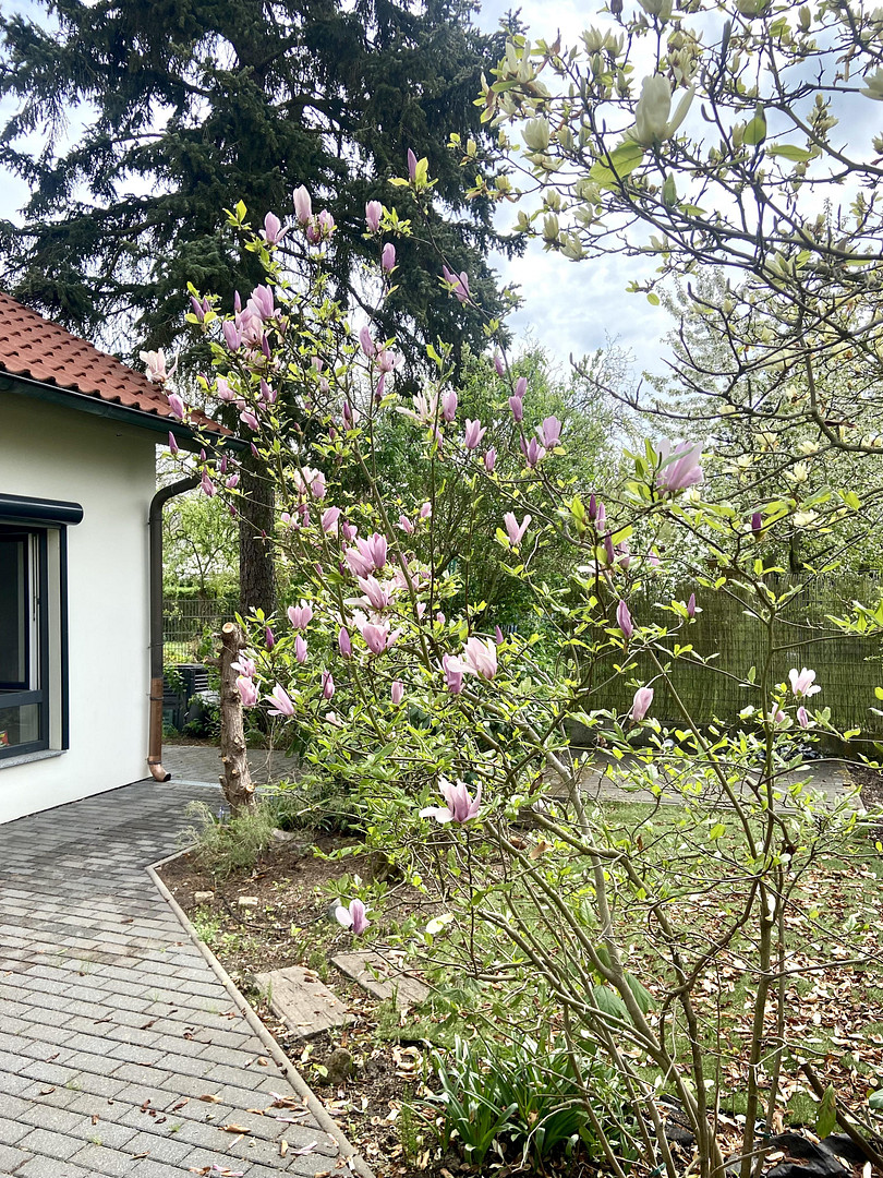 Einfamilienhaus mit großer Terrasse – bezugsfertig + guter Anbindung nach Berlin - S-Bahn fußläufig – Bernau bei Berlin – Vorschaubild 29