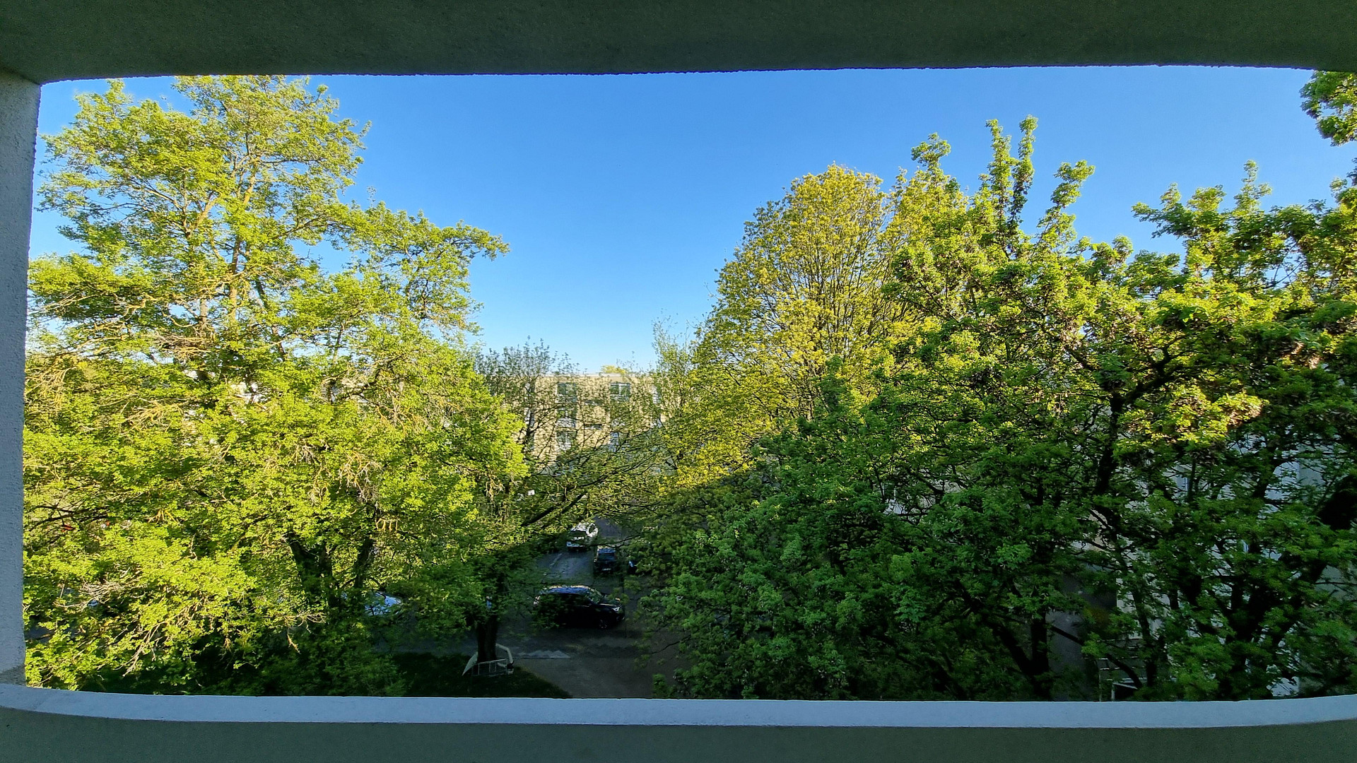PROVISIONSFREI! 3,5 Z. Wohnung 78m² – 68309 Mannheim(Vogelstang) – Vorschaubild 19