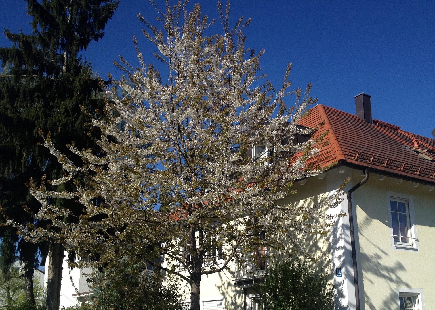 Top Möbliert / Fully furnished: Elegante 3-Zi-Gartenwohung, WLAN, Home Office, TG-Stellplatz – München(Trudering) – Vorschaubild 20