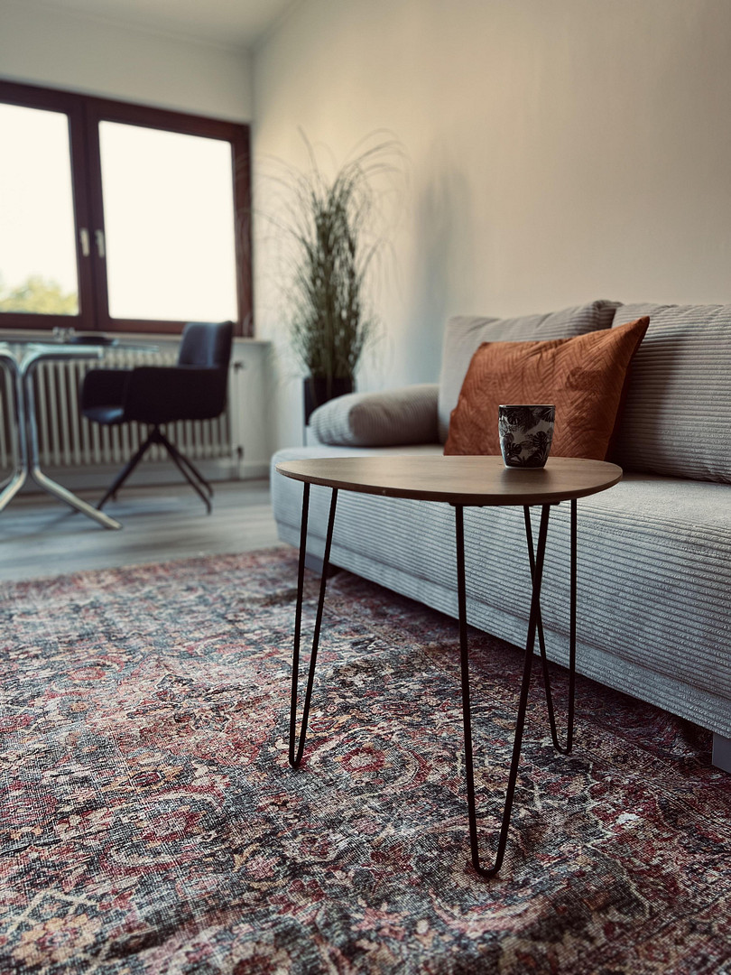 Voll möbliertes Apartment in Mainz | Ideal für Berufstätige & Expats