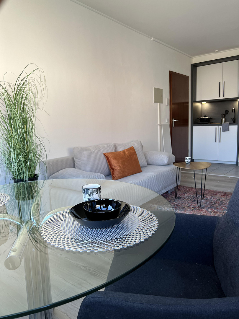 Voll möbliertes Apartment in Mainz | Ideal für Berufstätige & Expats – Mainz – Vorschaubild 6