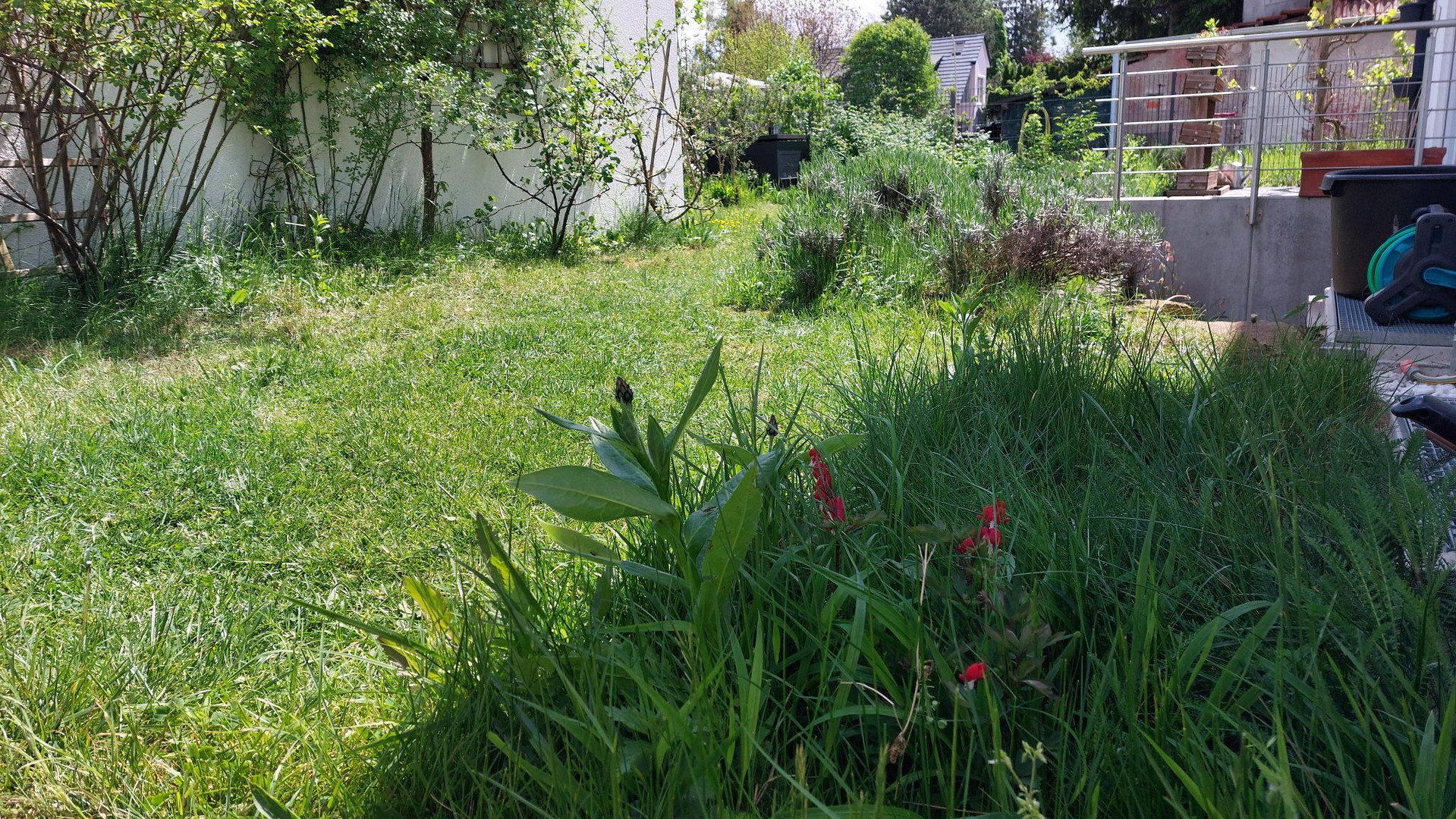 Alles drin! Moderne energieeffiziente DHH mit tollem Garten, Erbpacht – München – Vorschaubild 16