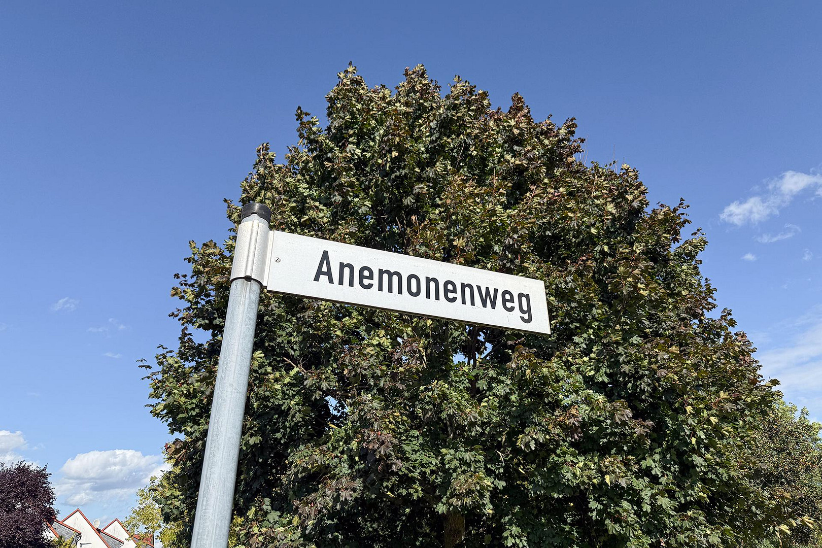 Familienfreundliches Reihenhaus im Anemonenweg – Anemonenweg 15, 39291 Möser – Vorschaubild 37