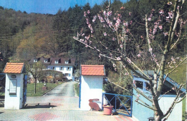 Repräsentatives Landhaus mit vielfältiger Raumgestaltung bis zu 3 Einheiten – Oberzent / Beerfelden(Steingrund) – Vorschaubild 2