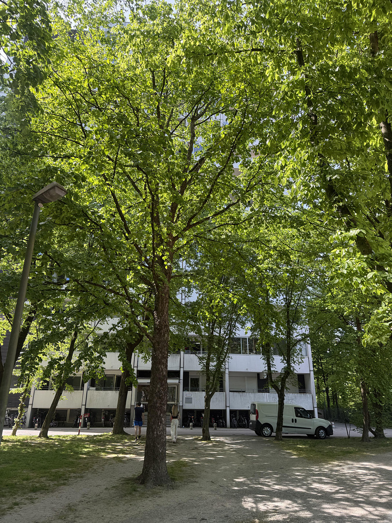 Herrenbach-Spickel: gut geschnittene 3 Zimmer-Wohnung mit Fernblick in­ guter Lage. Provisionsfrei! – Augsburg(Spickel-Herrenbach) – Vorschaubild 2