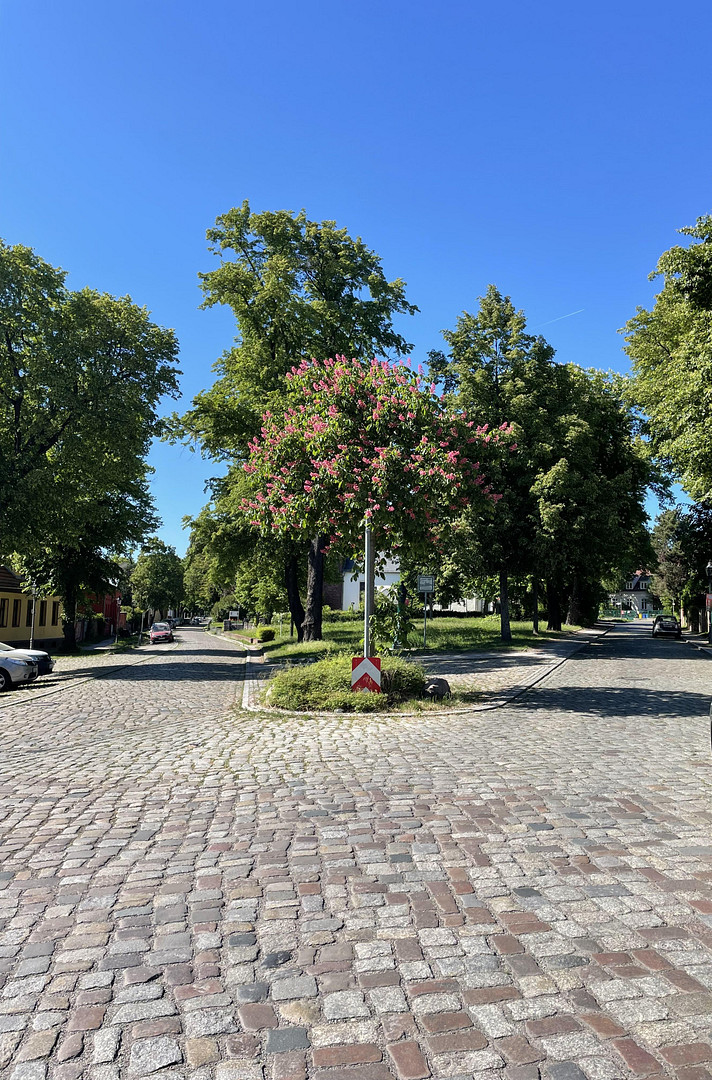 Villa in Berlin Kaulsdorf, energetisch saniert auf Park ähnlich gestaltetes großes Grundstück – Mädewalder Weg, 12621 Berlin(Kaulsdorf) – Vorschaubild 15