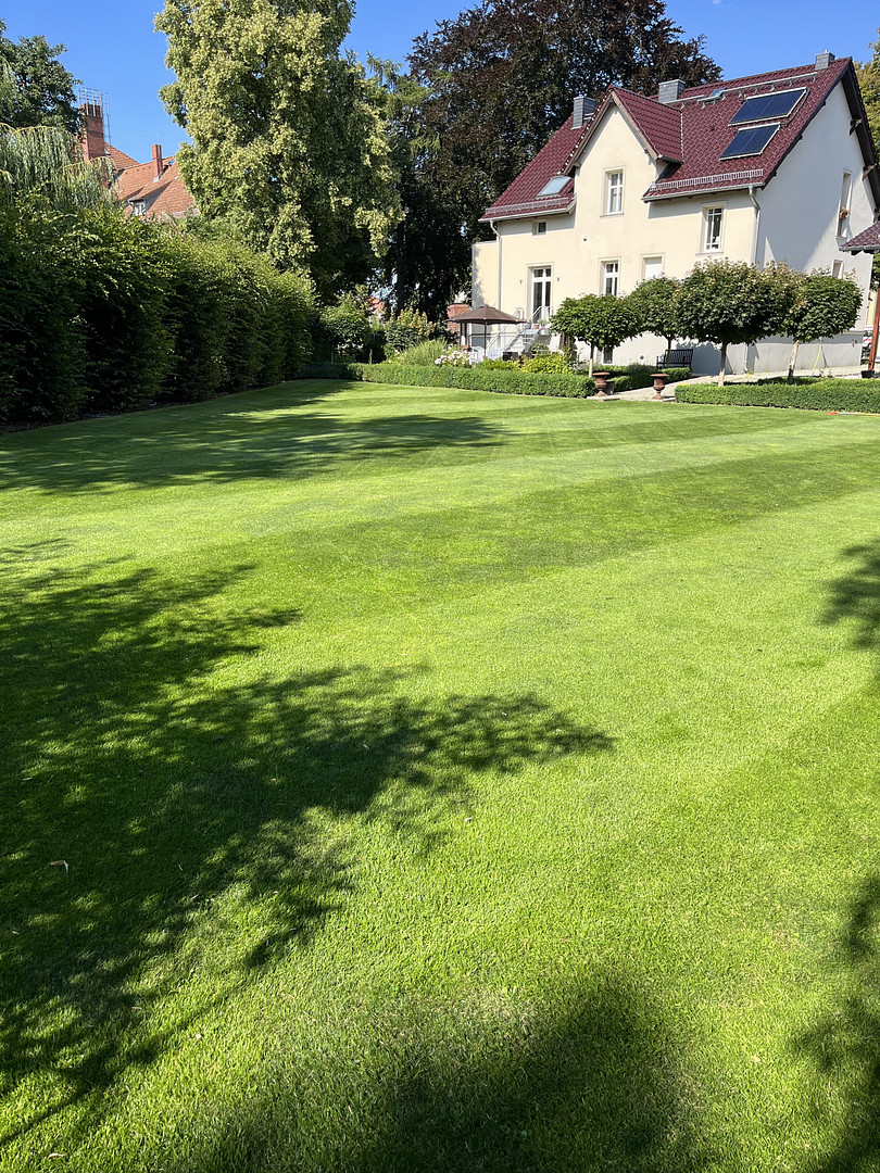 Villa in Berlin Kaulsdorf, energetisch saniert auf Park ähnlich gestaltetes großes Grundstück – Mädewalder Weg, 12621 Berlin(Kaulsdorf) – Vorschaubild 5